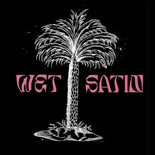 Wet Satin