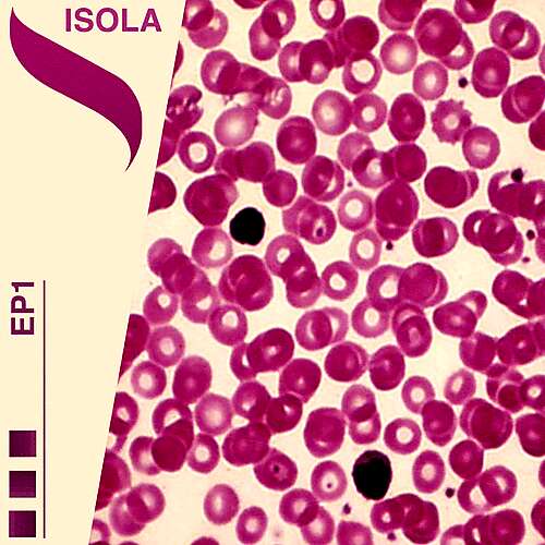 Isola