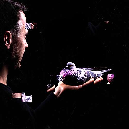 Stimming