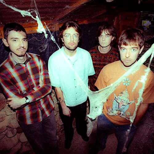 Glasshouse Red Spider Mite