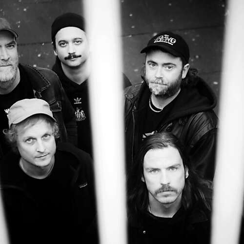 Pigs Pigs Pigs Pigs Pigs Pigs Pigs