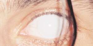 Power of a Waterfall