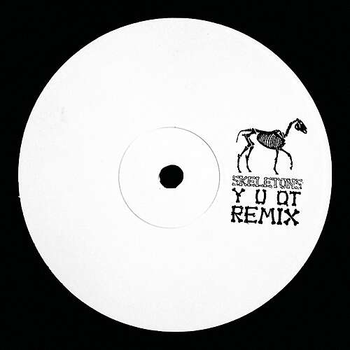 skeletons (Y U QT remix)