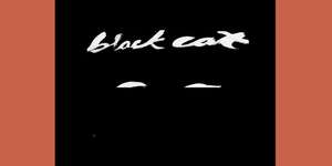 BLACK CAT