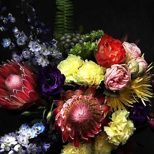 Fate In Seven Lessons