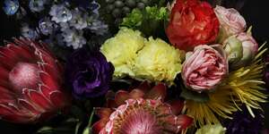 Fate In Seven Lessons