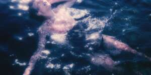 Hey Boy (You're One of Us)