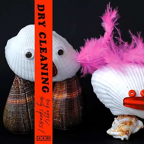 Bug Eggs/Tony Speaks!