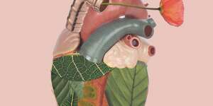 A Good-Looking Ghost