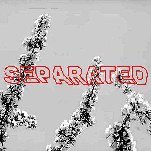 Separated