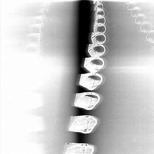 Show Me How to Live Again