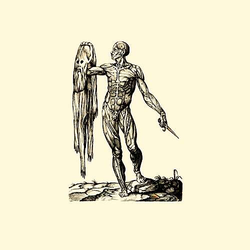 Observation of Breath