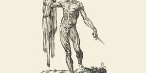 Observation of Breath