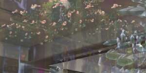 Enhanced Interior Landscapes