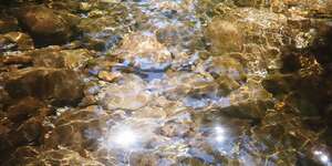 Paradise + Dazed Live Session