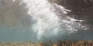 Pulchra Es Elementis