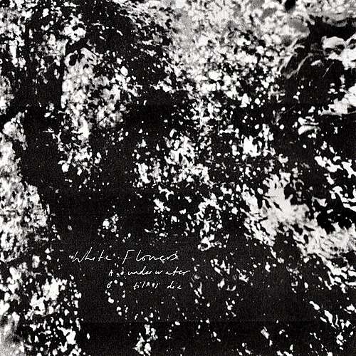 Underwater/'Til I Die