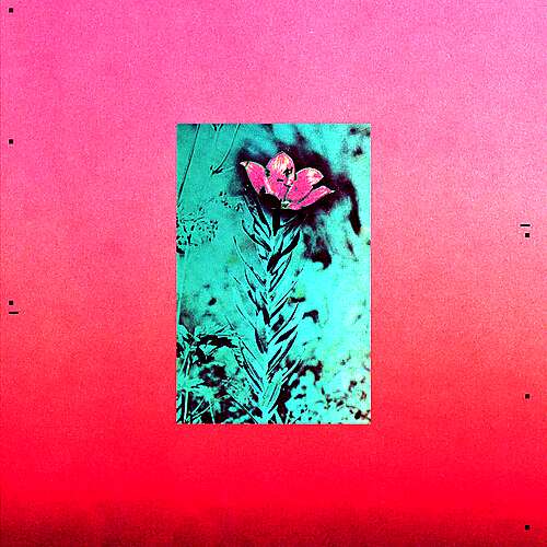 The First Tree (feat. Gracy Hopkins)