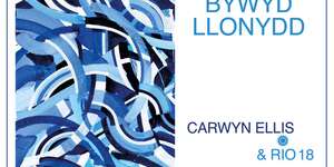 Y Bywyd Llonydd