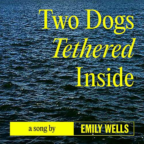 Two Dogs Tethered Inside