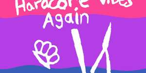 The Reson for Hardcore Vibes (Again)