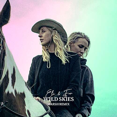 Wild Skies (Marsh Remix)