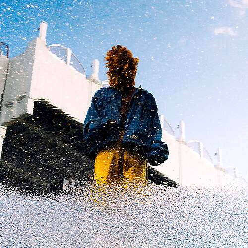 Freaks and Wild Things