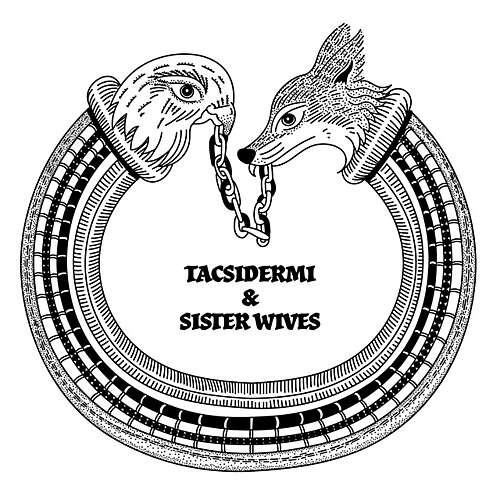 'O Fy Nghof / A Oes Heddwch' (with Sister Wives)