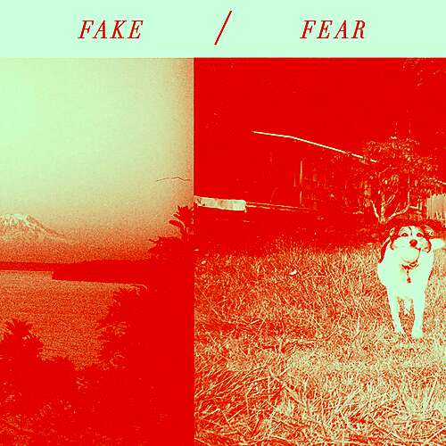 Fake / Fear