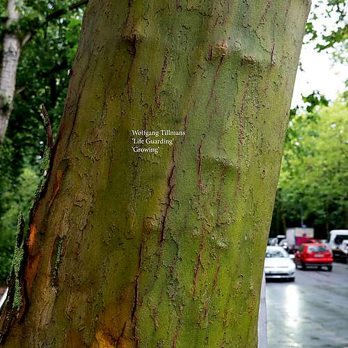 Life Guarding / Growing
