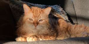 Leading (feat The Linda Lindas)