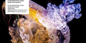 A Fate Worse Than a Fate Worse Than Death