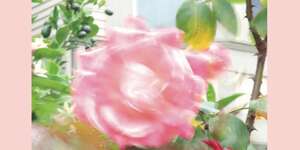 Summer at Land's End