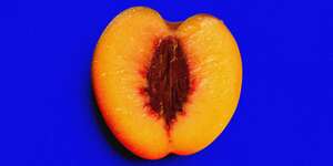 Let Me Die Inside You