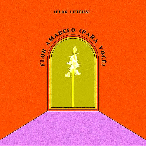 Flor Amarelo (Para Você)