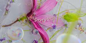 Can't Stop Thinking About