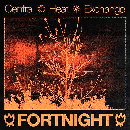 Fortnight (Remix)