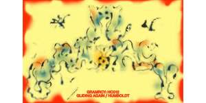 Gliding Again / Humboldt