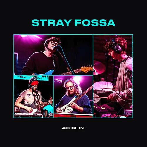 Stray Fossa on Audiotree Live
