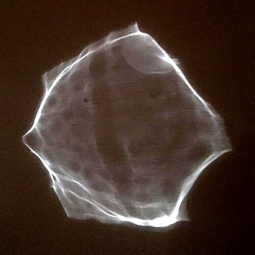 I think I've got it, alright?