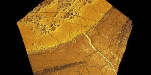 Resilience Interlude