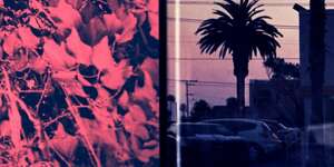 The Effort//These Trees