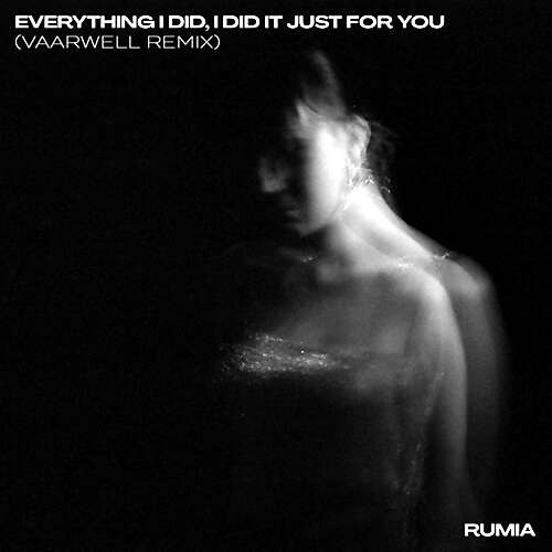 Everything I Did, I Did It Just for You (Vaarwell Remix)