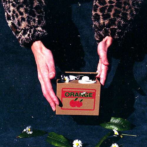 Shopping On The Left Bank