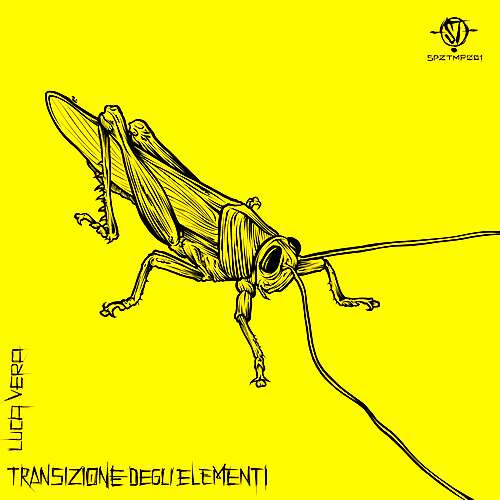 Transizione Degli Elementi