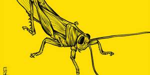 Transizione Degli Elementi