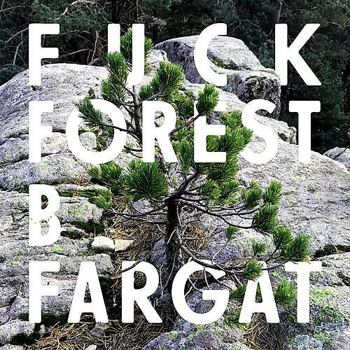 Fuck Forest