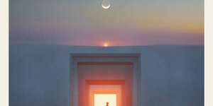 It Could Grow Anywhere