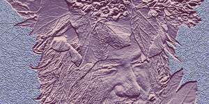 I'm Happy You're Here