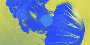 3 Variations Sur Un Thème